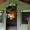 Отель Rio Tico Safari Lodge, фото 1