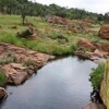 Отель Bateleur Nature Reserve and Self Catering Game Lodge, фото 7
