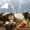 Отель Luxury Chalet Kitzbühel, фото 10
