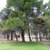Отель Finca Santa Elena, фото 14