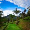 Отель Pousada Serra do Luar, фото 6