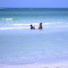 Отель The Anna Maria Island Beach Sands 101 - 2 Br condo by RedAwning, фото 15