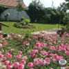 Отель Guest House Zdravec, фото 5