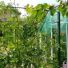 Отель Villa-Erika Apartman, фото 7
