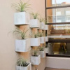 Отель Amarilis Hotel Boutique, фото 9