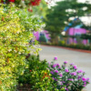 Отель Kunnuad Garden Resort, фото 3