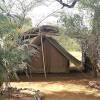 Отель Samburu Riverside Camp, фото 11