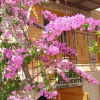 Отель Bolbeach Guesthouse, фото 3