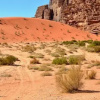Отель Salma Desert Camp, фото 9