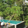 Отель Uma Capung Mas Cottage, фото 11