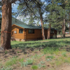 Отель Rocky Mountain High, aka Coyote Cabin - 2 Br Cabin, фото 1