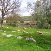 Отель Retiro Da Avo Lídia - Turismo Rural, фото 11