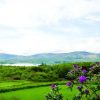 Отель Ring of Kerry Holiday Homes, фото 8