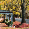 Отель Rubys Garden Cottage, фото 9