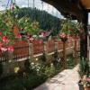 Отель Pensiunea La Turcu, фото 9