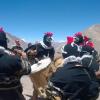 Отель Refugio de montaña Mundo Perdido, фото 7