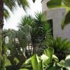 Отель B&B Plathea, фото 2