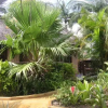 Отель Afrikhaya Guest House, фото 11