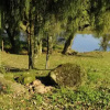 Отель Pousada Bauernhof, фото 8