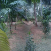 Отель swarna home stay, фото 3