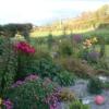 Отель Atlantic Way B&B, фото 9