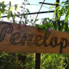 Отель Casa Penelope, фото 8