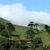 Отель Pousada Canário Da Terra, фото 9