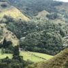 Отель Reserva El Cairo - Valle de Cocora, фото 12