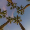 Отель Palm Isle 3210, фото 8