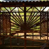 Отель Comunidade do Xingu Camping Site, фото 6