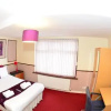 Отель Heathrow Palace, фото 9