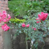 Отель Pousada Regina, фото 10