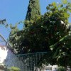 Отель B&B Spinnaker, фото 1