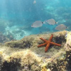 Отель Pousada Entre Paraisos, фото 10