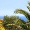 Отель La Gaviota, фото 8
