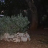 Отель Apartmants Bubalo, фото 8