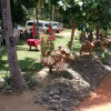 Отель Kalawewa Heritage Holiday Resort, фото 8