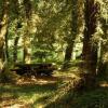 Отель Quinta da Fontoura, фото 3