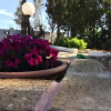 Отель B&b Masseria Nova, фото 16