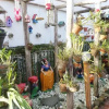 Отель Pousada Das Laranjeiras, фото 10