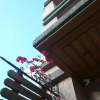 Отель Wei Ya Garden B&B, фото 1