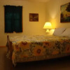 Отель Into the Wild Cabin - 2 Br Cabin, фото 3