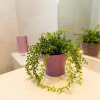 Отель Apartamentos Can Saula, фото 9