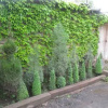 Отель Shushan B&B, фото 8