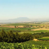 Отель Laibach Vineyards, фото 6