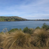 Отель Catlins Lake Sanctuary, фото 7