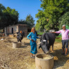Отель V Resorts Tiger Inn Comfort Ranthambore, фото 26