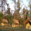 Отель Karnali Jungle Camp, фото 7