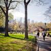 Отель onefinestay - Upper West Side private homes, фото 13