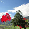 Отель Apart Huamatl, фото 12